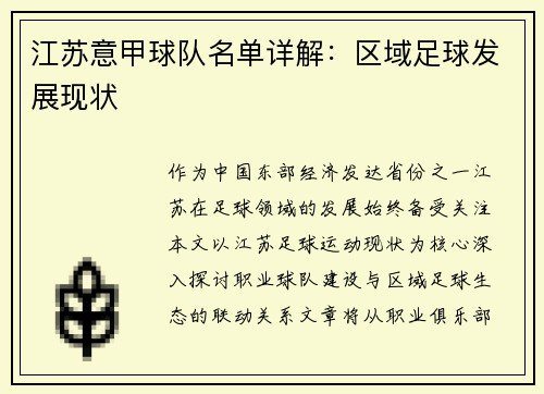 江苏意甲球队名单详解：区域足球发展现状